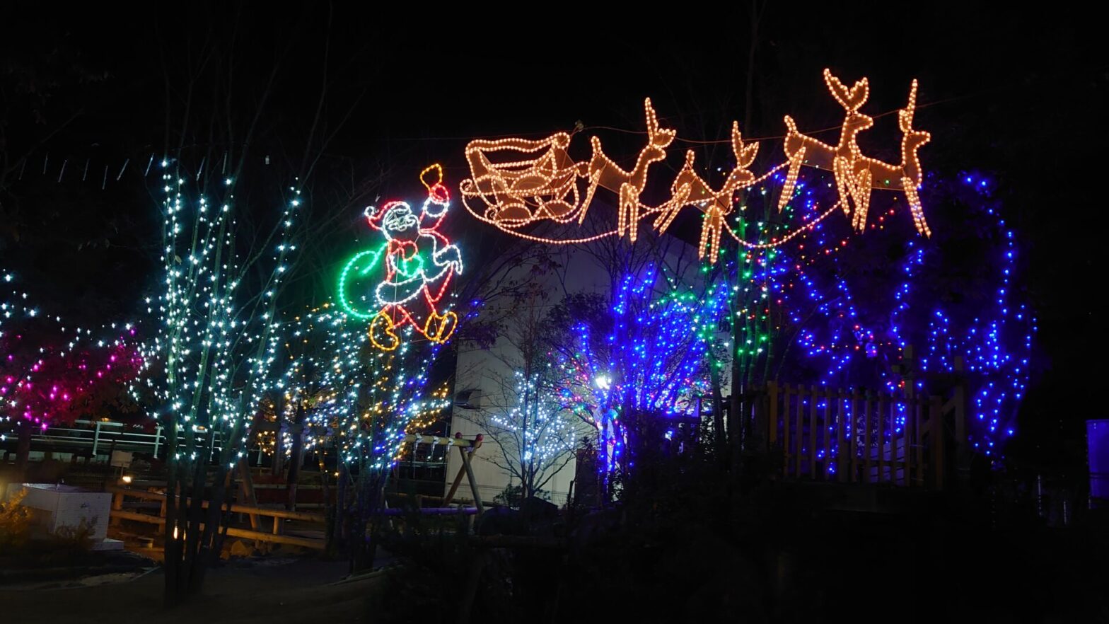 認定こども園ポプラの木様クリスマスイルミネーション